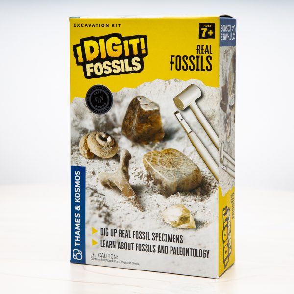 I Dig It Fossils