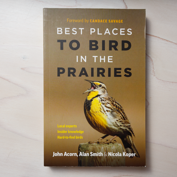 best places to bird