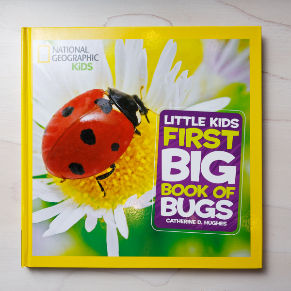 little kids first big book of bugs