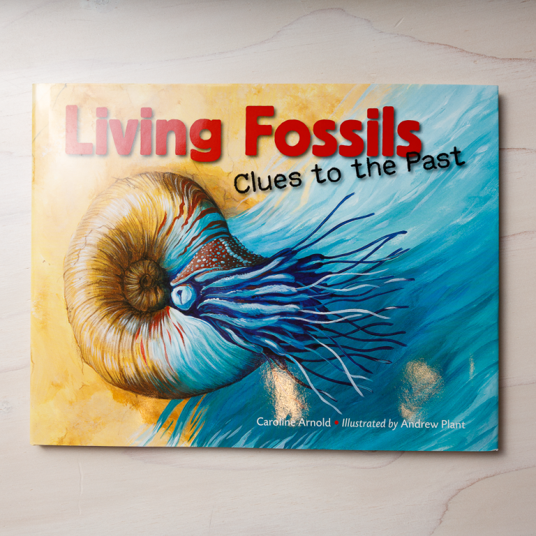 living-fossils-clues-to-the-past-ram-shop