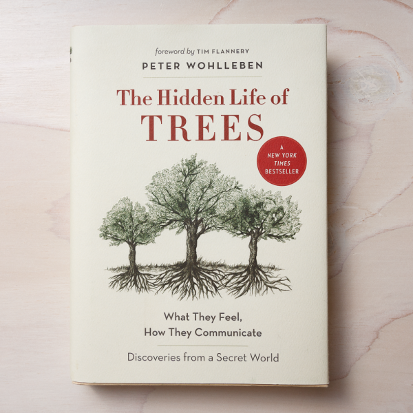 the hidden life of trees