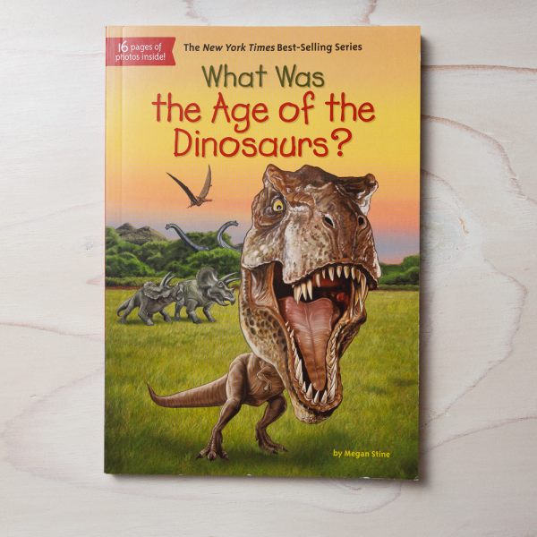 what was the age of the dinosaurs
