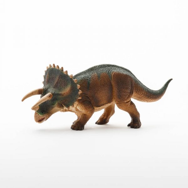 Small Triceratops