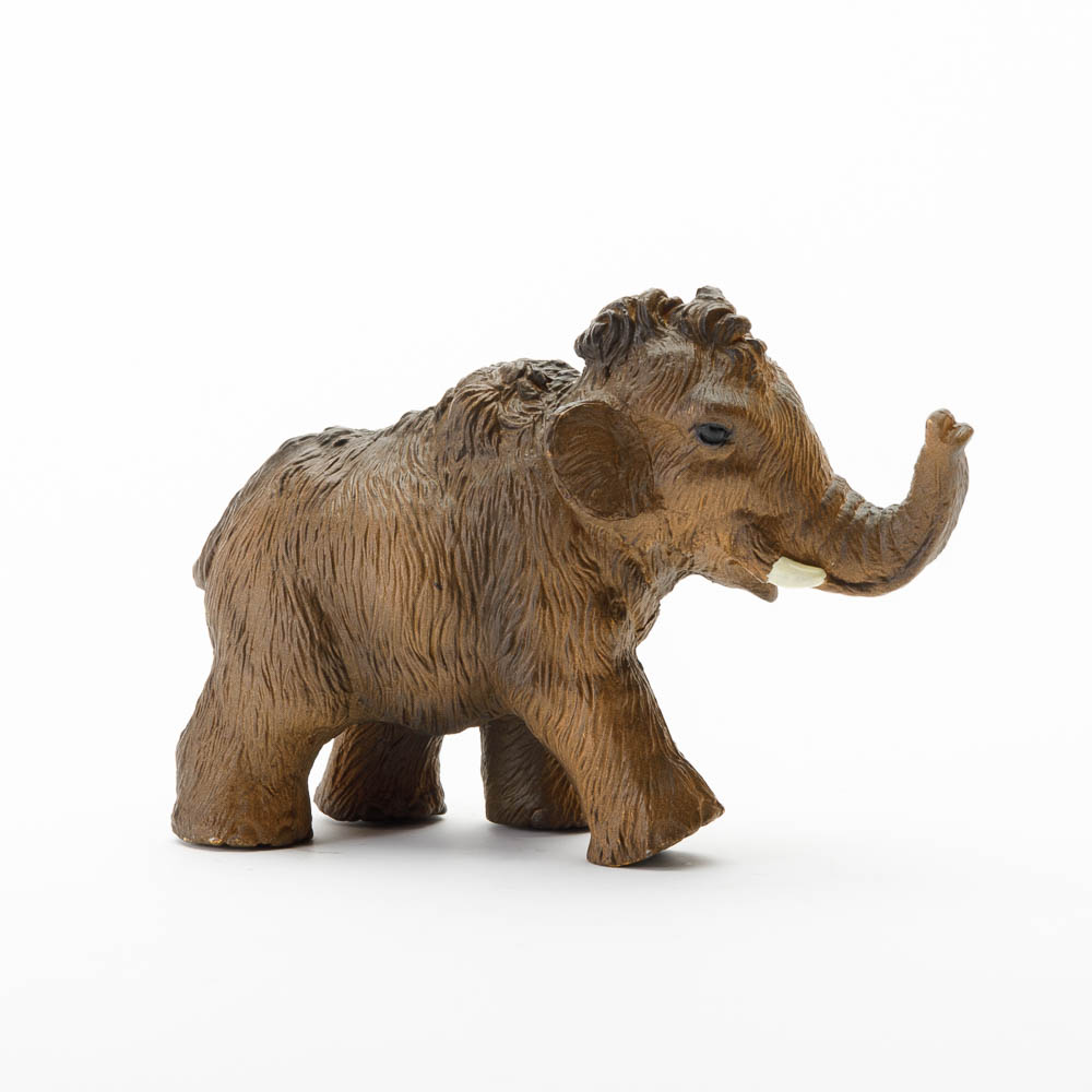 Baby Woolly Mammoth