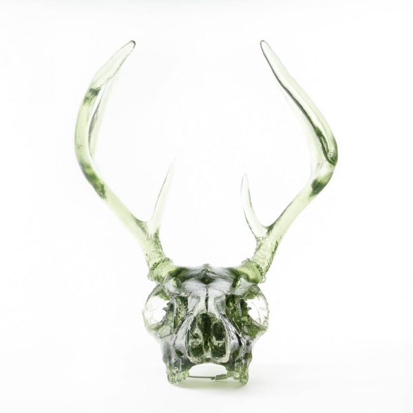 deer skull 2