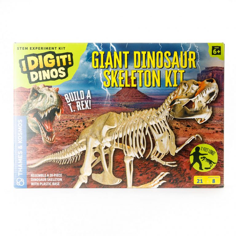 Giant Dinosaur Skeleton Kit by Thames & Kosmos - RAM Shop