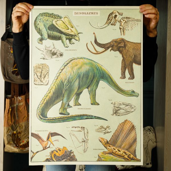 cavallini dinosaurs poster