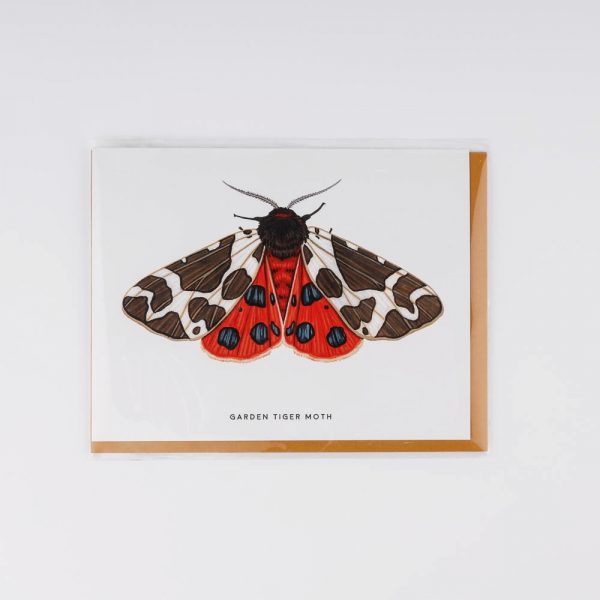 garden tiger moth card