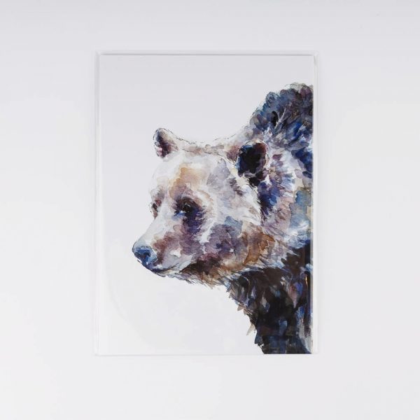 grizzly bear print