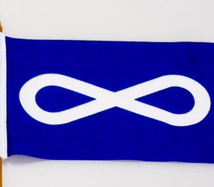 top portion of a small blue Metis flag with brass coloured pole