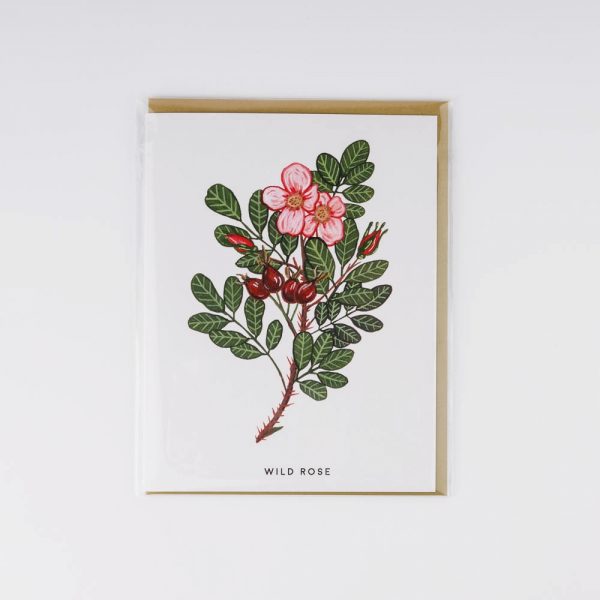 wild rose greeting card