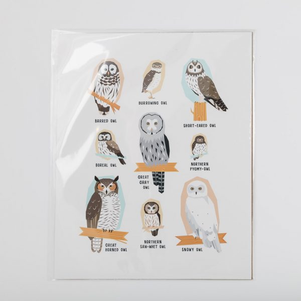 owls print