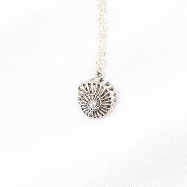 ammonite necklace 1