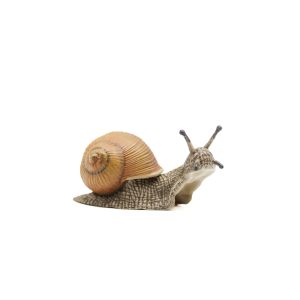 Light chestnut shell on a brown and green snail crawling with antennae out and searching.
