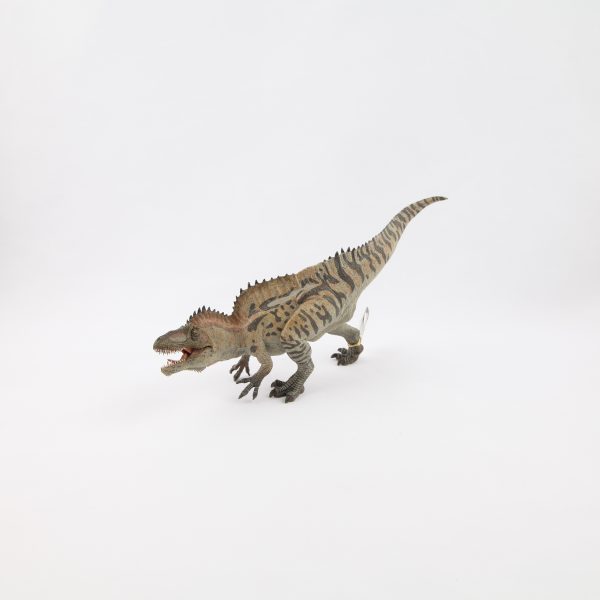acrocanthosaurus scaled