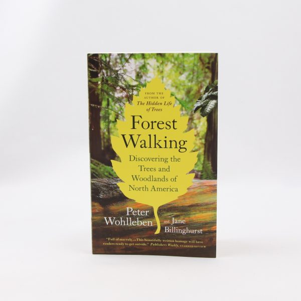 forest walking
