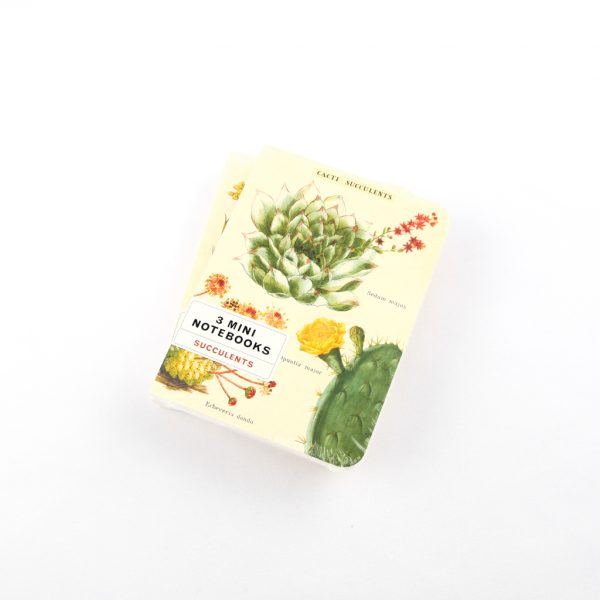 succulents mini notebooks