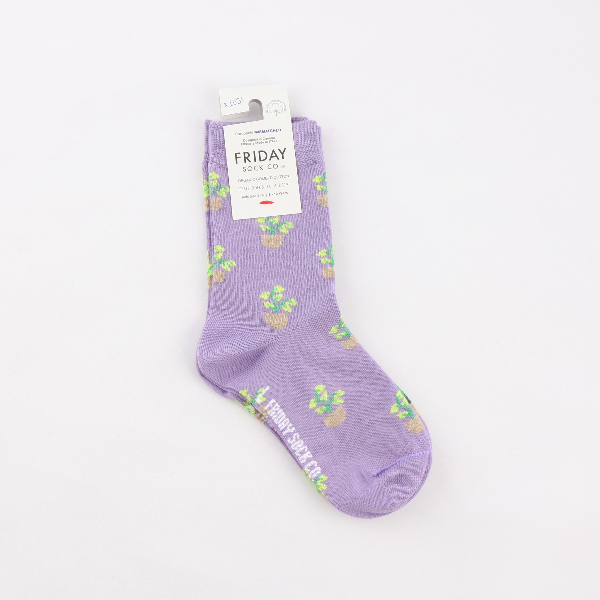 Kid's Mismatched Plant Socks by Friday Sock Co. RAM Shop