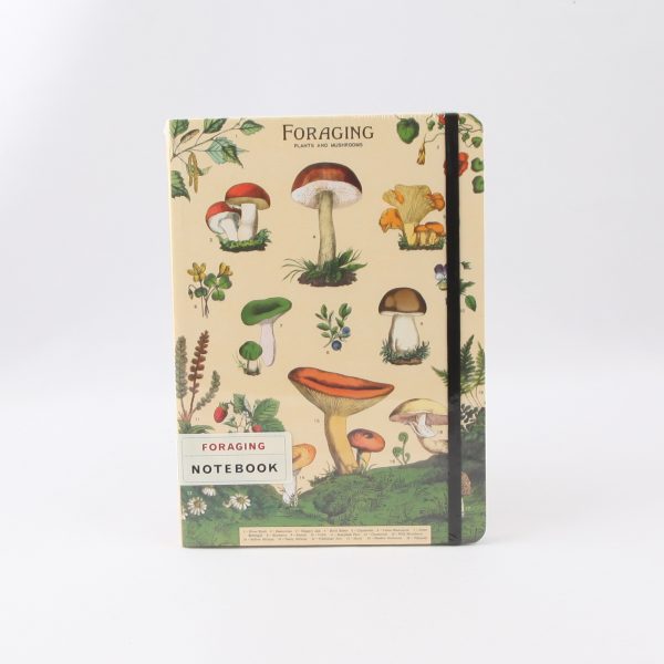foraging notebook