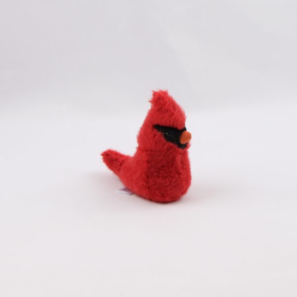 birdling cardinal