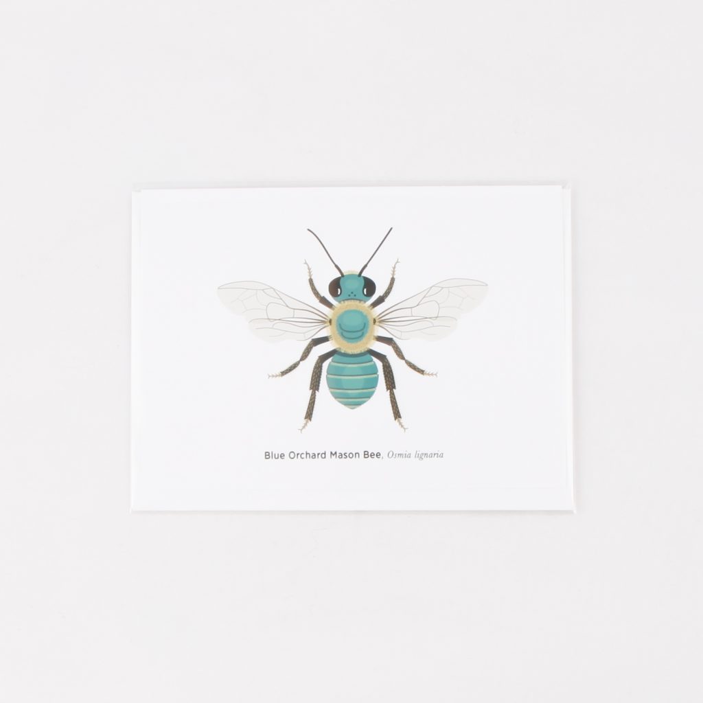 mason bee greeting card