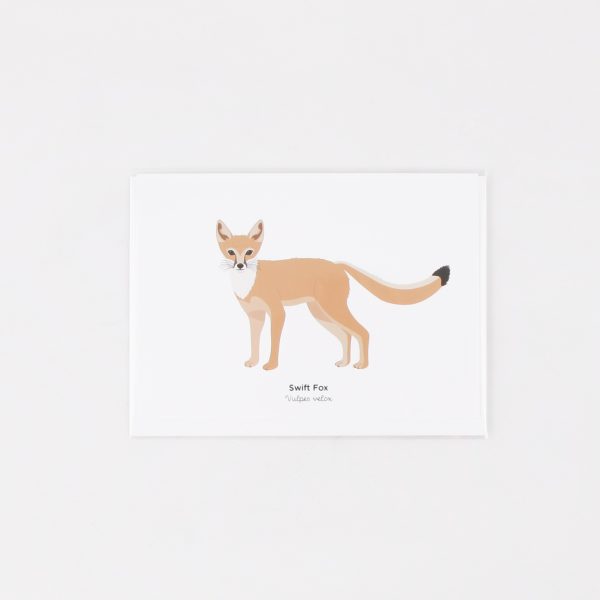 swift fox greeting card