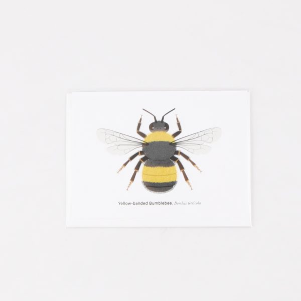 yellow banded bee card