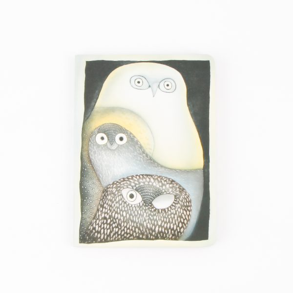 owls in the moonlight journal