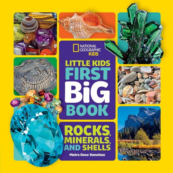 first big book of rocks minerals and shells