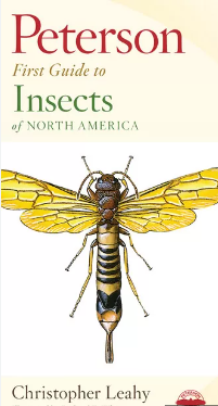 peterson first guide to insects