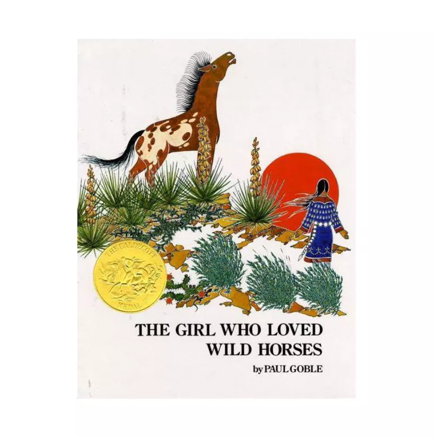 The Girl Who Loved Wild Horses The Girl Who Loved Wild Horses