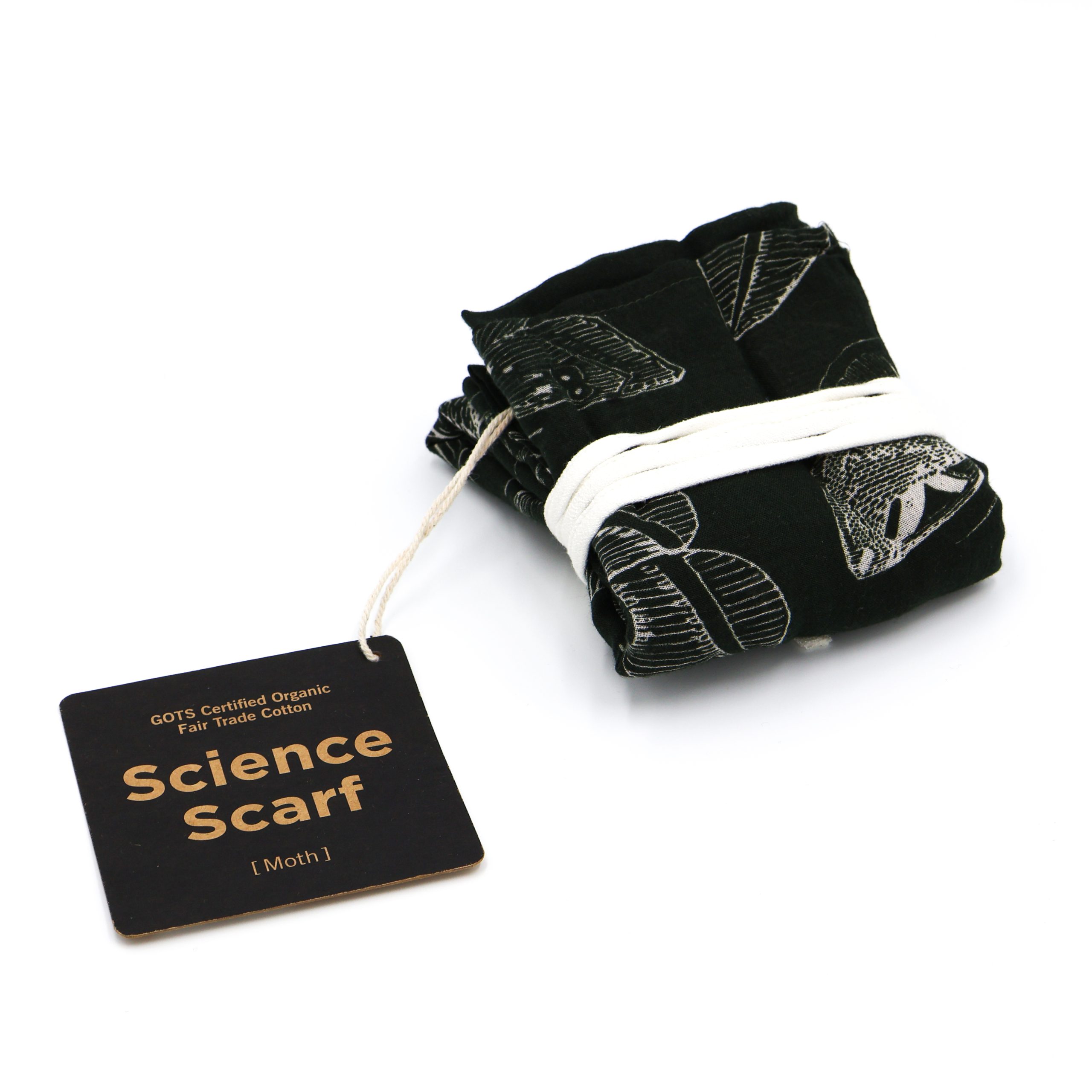 IMG_0858 IMG 0858 scaled