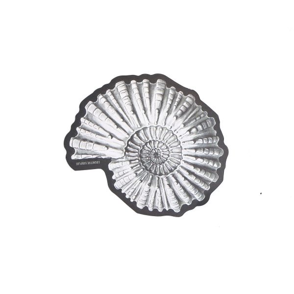 ammonite fossil sticker