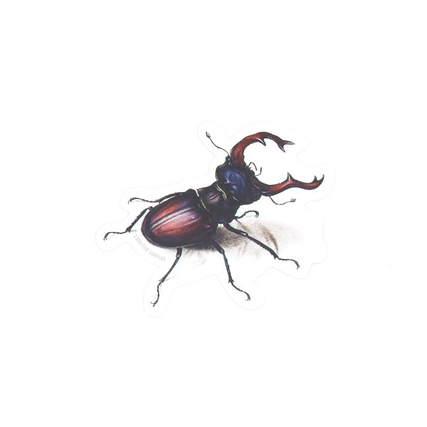 beetle sticker