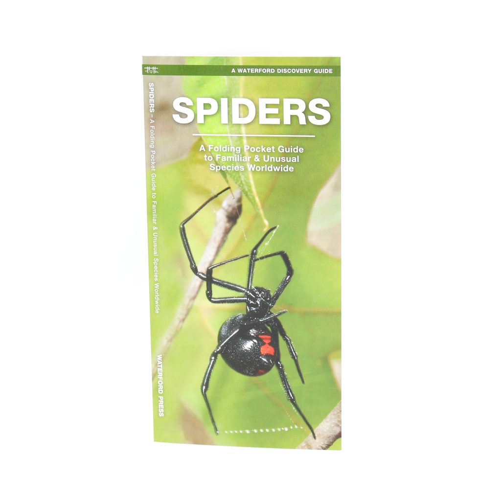 spiders-a-folding-pocket-guide-to-familiar-species-worldwide-ram-shop