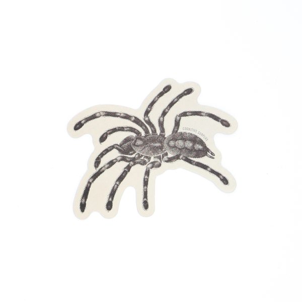 tarantula sticker