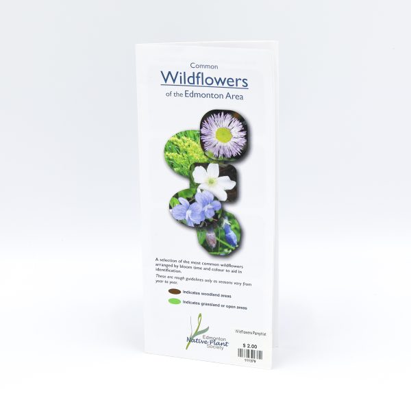 wildflowers pamphlets scaled