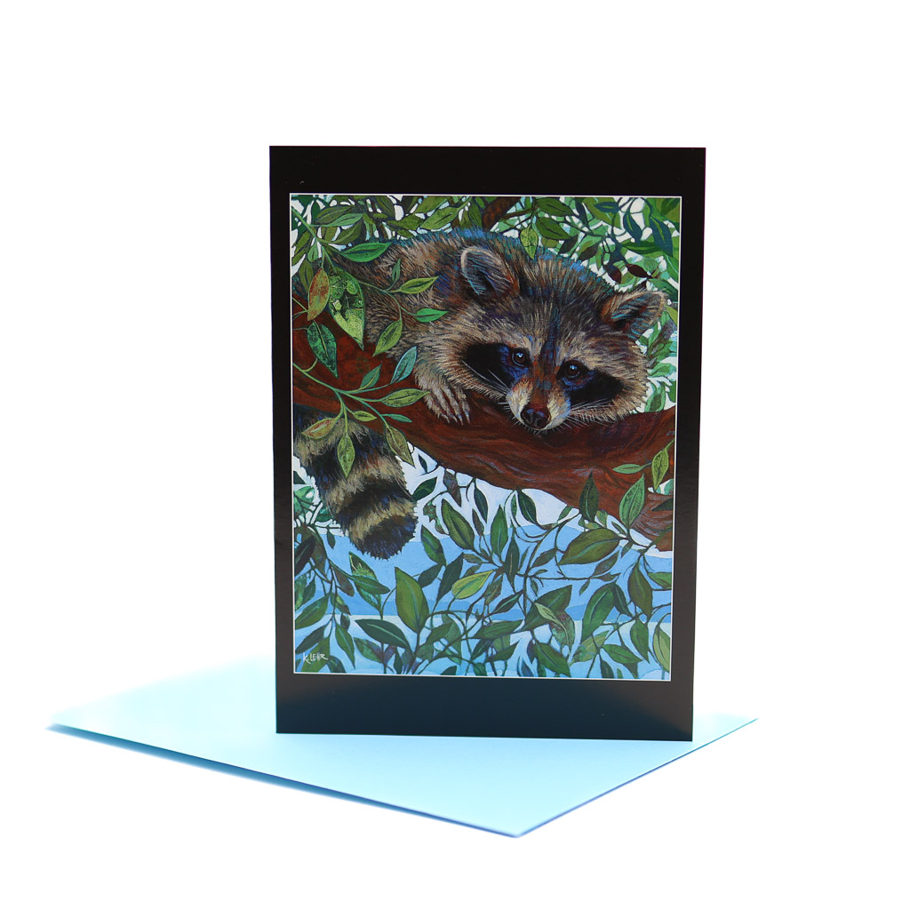 Aug 8 Edited-17 5x7 card with its envelope. Portrait of a racoon up in the trees peering at the viewer.