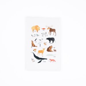 A selection of Canadian animals displayed on a white background. Digitally illustrated.