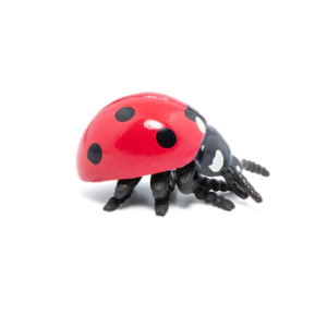 Photo of a plastic ladybird against a white backdrop.