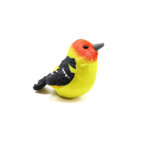 Adu Western Tanager scaled