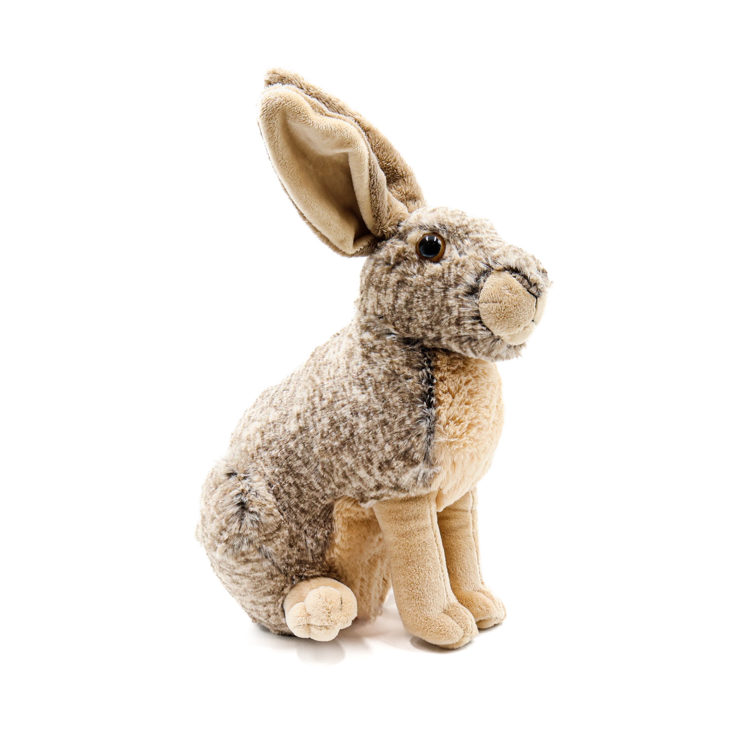 Wild clearance republic rabbit