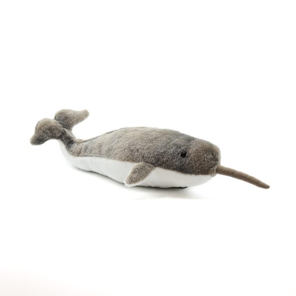 CK Narwhal scaled