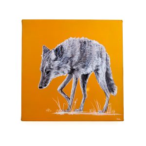 Coyote painting