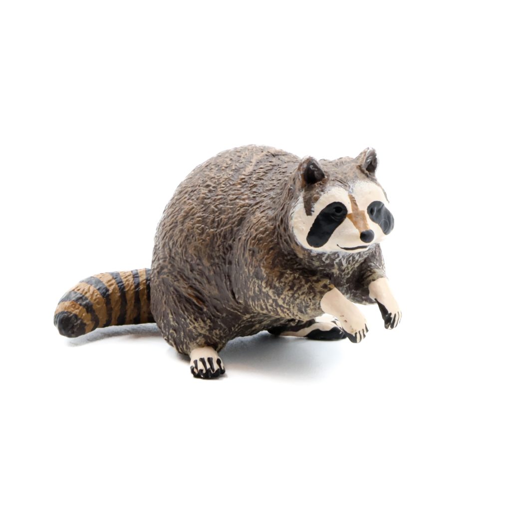 Raccoon By Papo RAM Shop raccoon-by-papo-ram-shop
