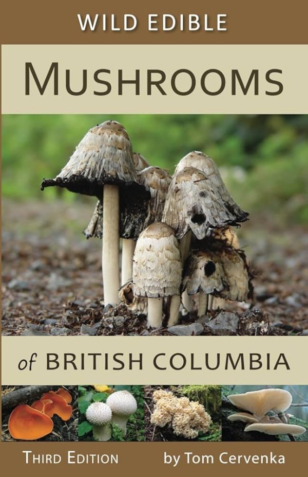 Wild edible mushrooms bc