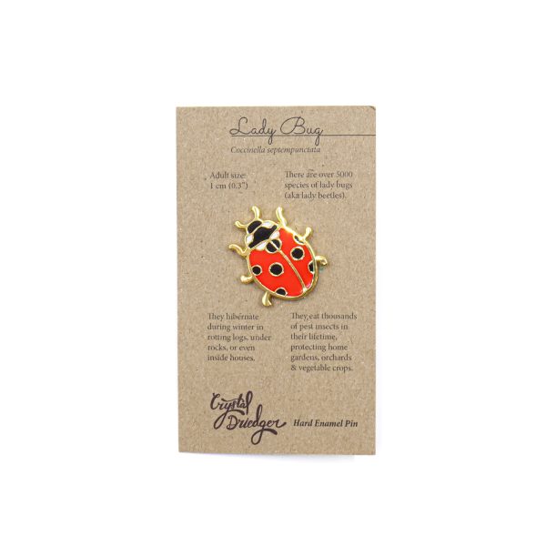 Lady Bug Pin scaled