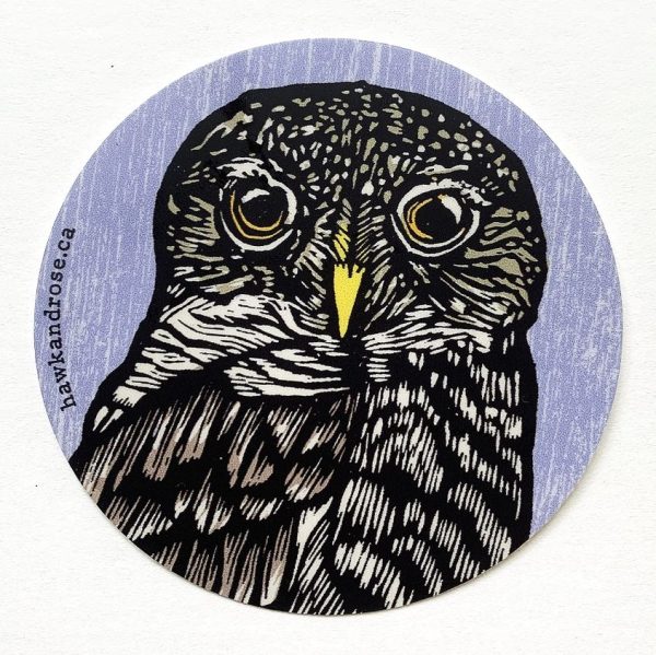 Night Owl Vinyl Sticker