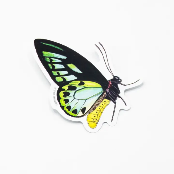 Papilio Butterfly sticker