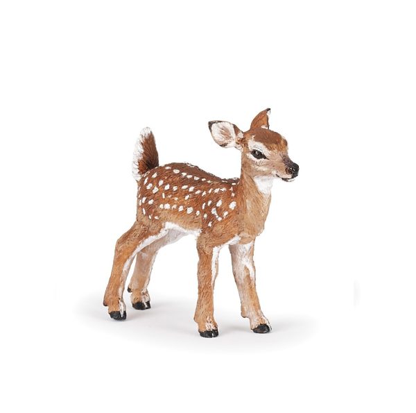 white tailed fawn e1726937119312